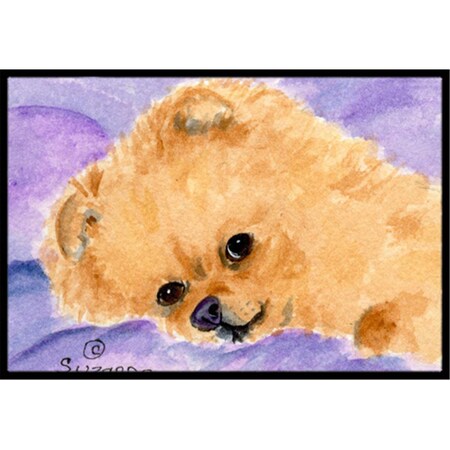 Carolines Treasures Pomeranian Indoor Outdoor Mat - 18 x 27 in. SS8834MAT